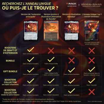 Coffret Magic The Gathering - Le Seigneur des Anneaux : Chroniques