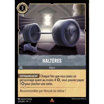 Item Haltères - 204/204 - ROTF - L'Ascension Des Floodborn - Brillante - Premium - Français